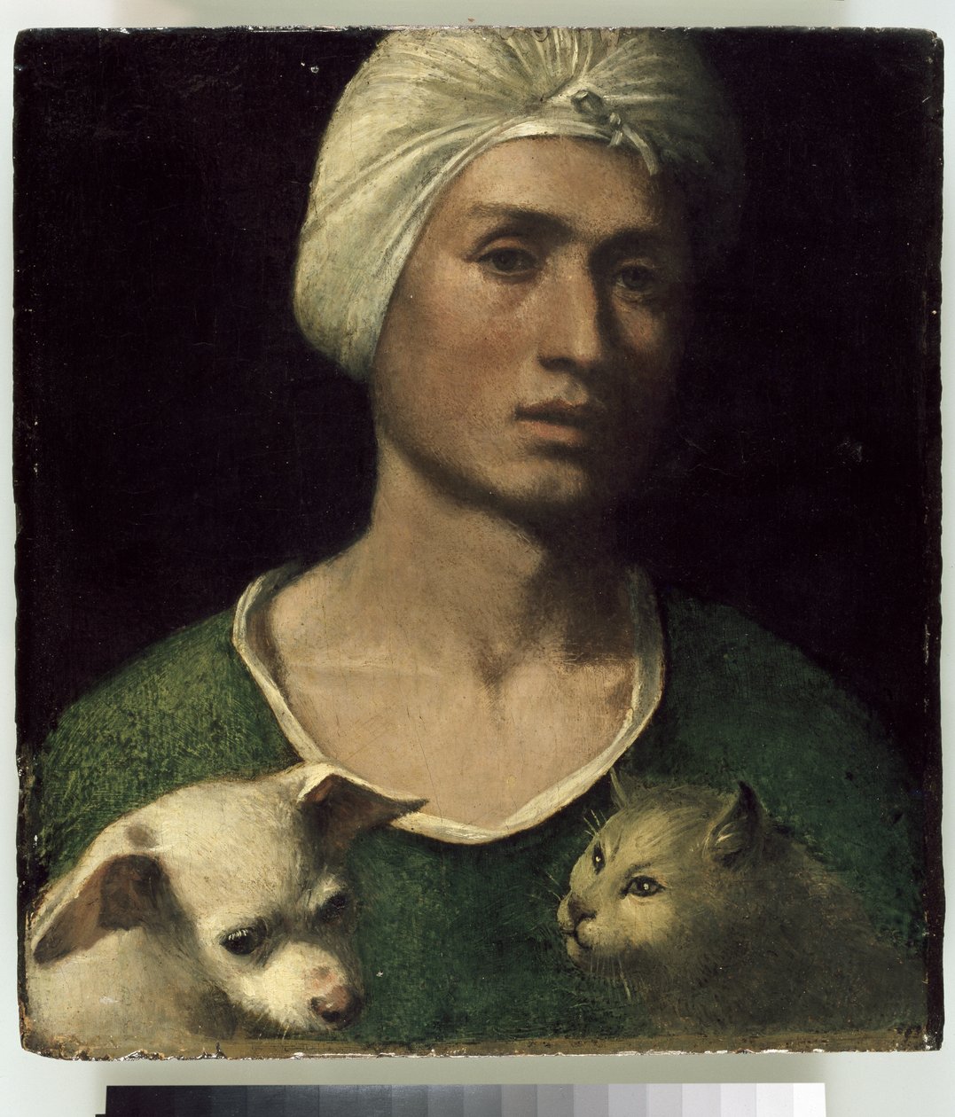 Portrett av en ung mann med en hund og en katt av Dosso Dossi