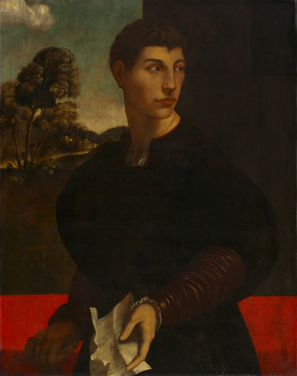 Portrett av en ung mann, ca. 1530 (olje og gull på tre) av Dosso (follower of) Dossi