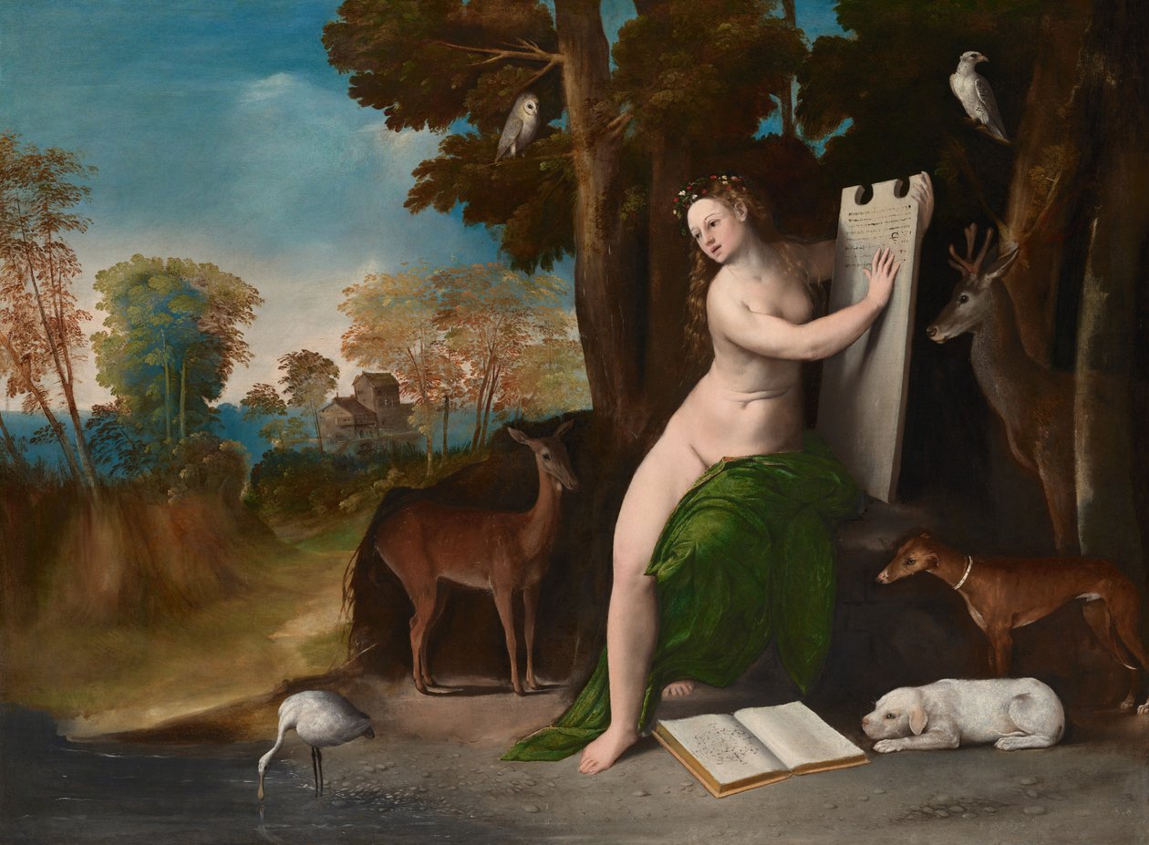  av Dosso Dossi