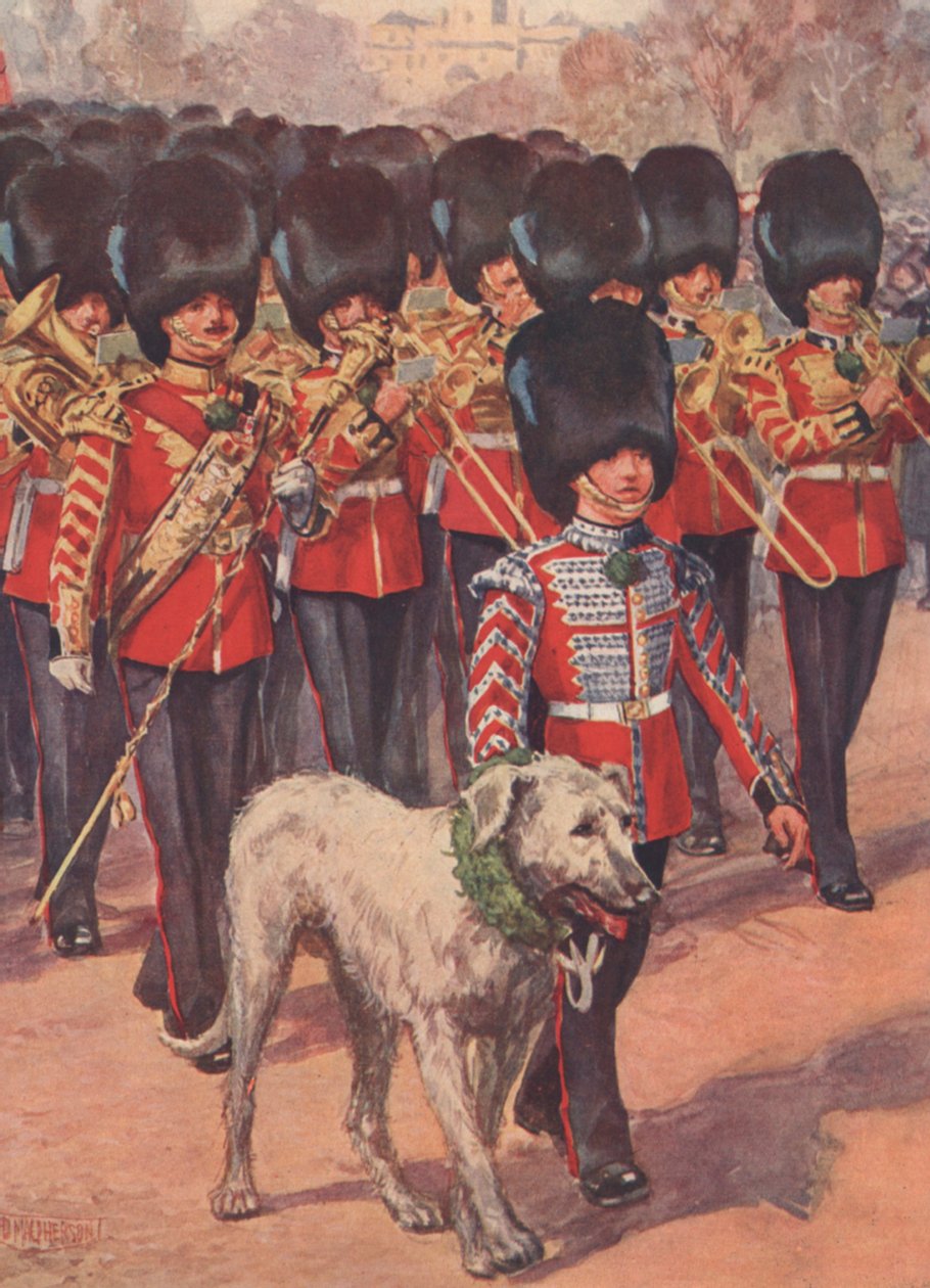 Bandet og ulvehundmaskoten til de irske vaktene bærer shamrocken på St Patrick's Day (farge litho) av Douglas (after) Macpherson