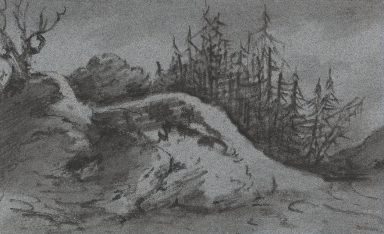 Sammensetning av bergarter og furutrær av Dr. Thomas Monro
