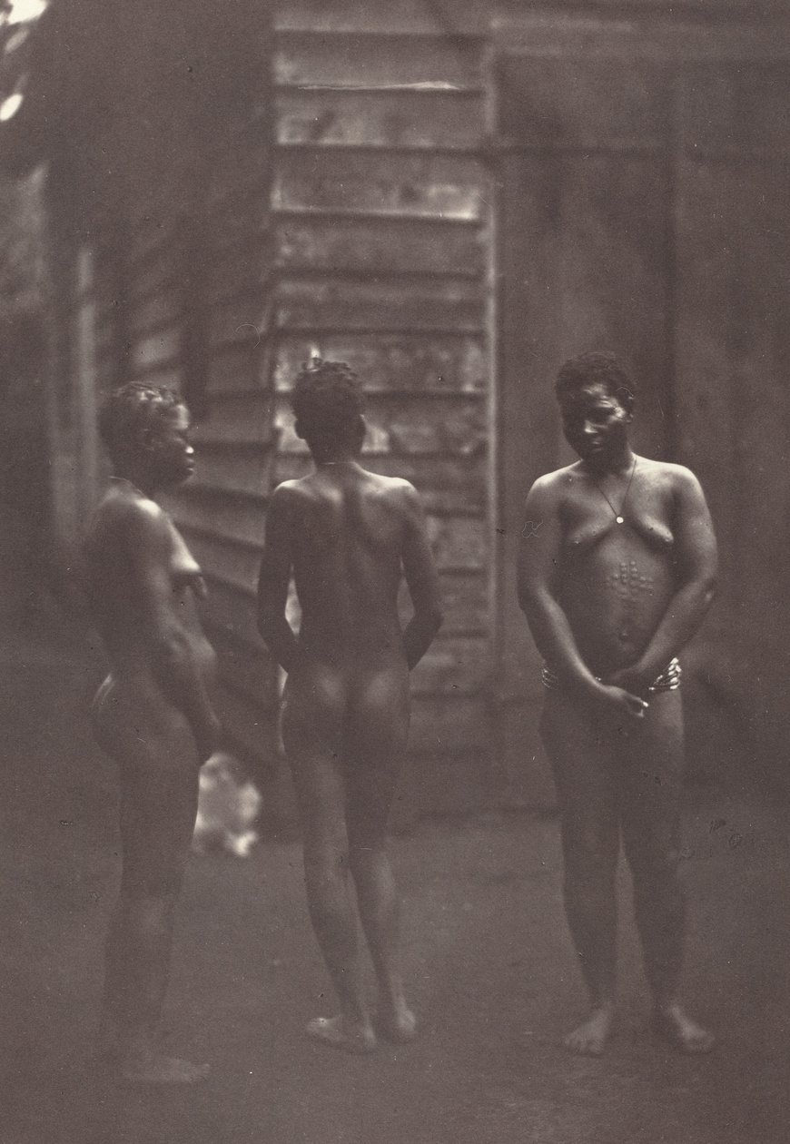 Tre madagaskiske kvinner (plate 30) av Désiré Charnay