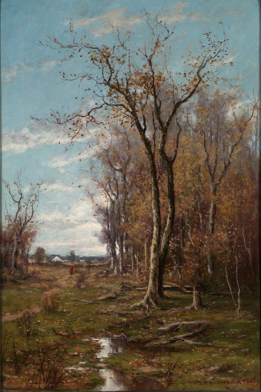  av Du Bois Fenelon Hasbrouck