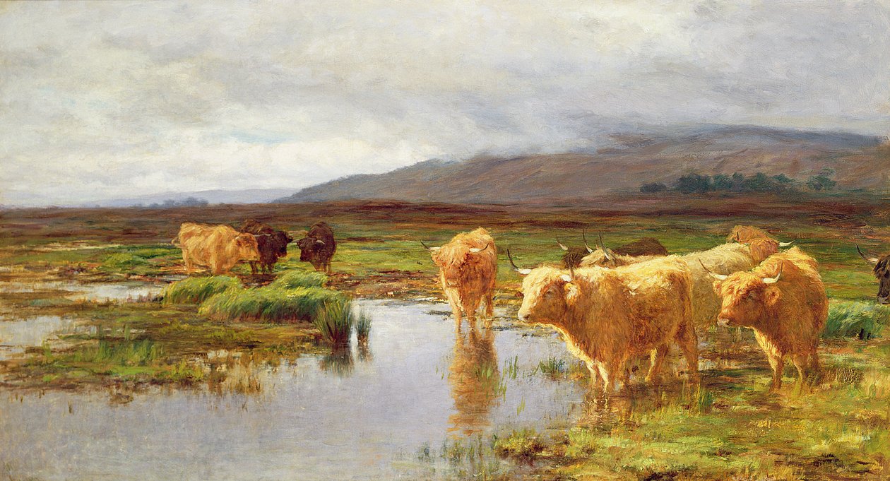 Moorlands og Mist av Duncan McLaurin