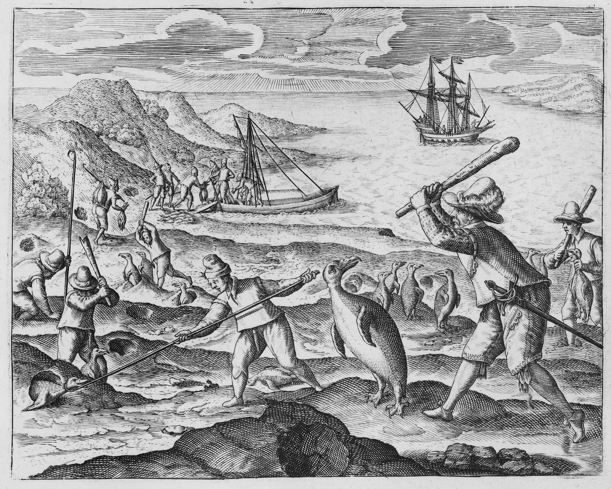 Pingvinjakt, 1598 av Dutch School