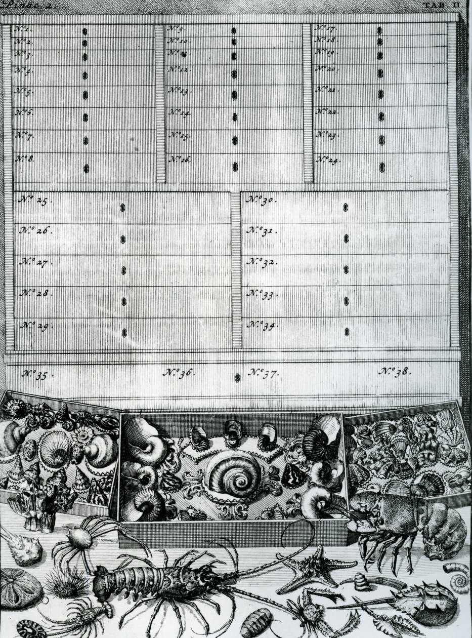 Tabell II fra 