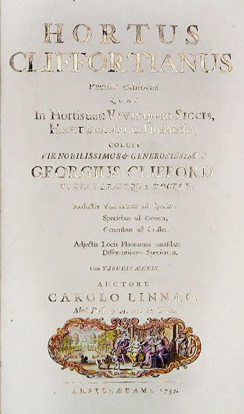 Tittelside til Hortus Cliffortianus av Carl Linnaeus (1707-78) Amsterdam, 1737 (trykk) av Dutch School