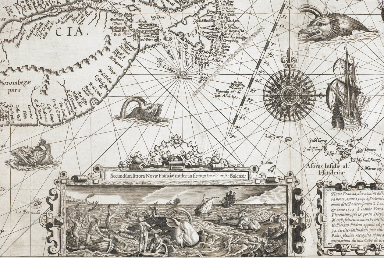 En detalj av to gammeldagse hvallignende sjømonstre og et innfelt med mer naturtro hvaler, fra 'Nova Francia, alio nomine dicta Terranova, anno 1504...' av Dutch School