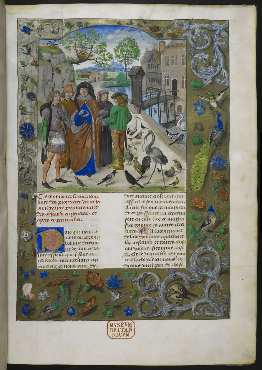 Bartholomaeus Angelicus, fra De proprietatibus rerum på fransk (Livre des proprietez des choses), Royal 15 E III, f. 11 av Dutch School
