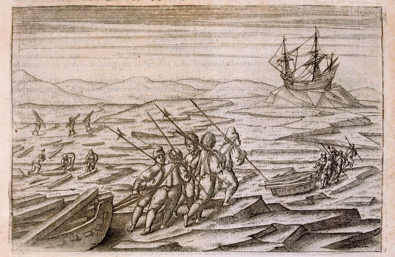 Samling av drivved til hytta der ekspedisjonen overvintret, illustrasjon fra Diarium Nauticum, seu vera descriptio trium navigationum admirandarum... av Gerrit de Veer, 1598 av Dutch School