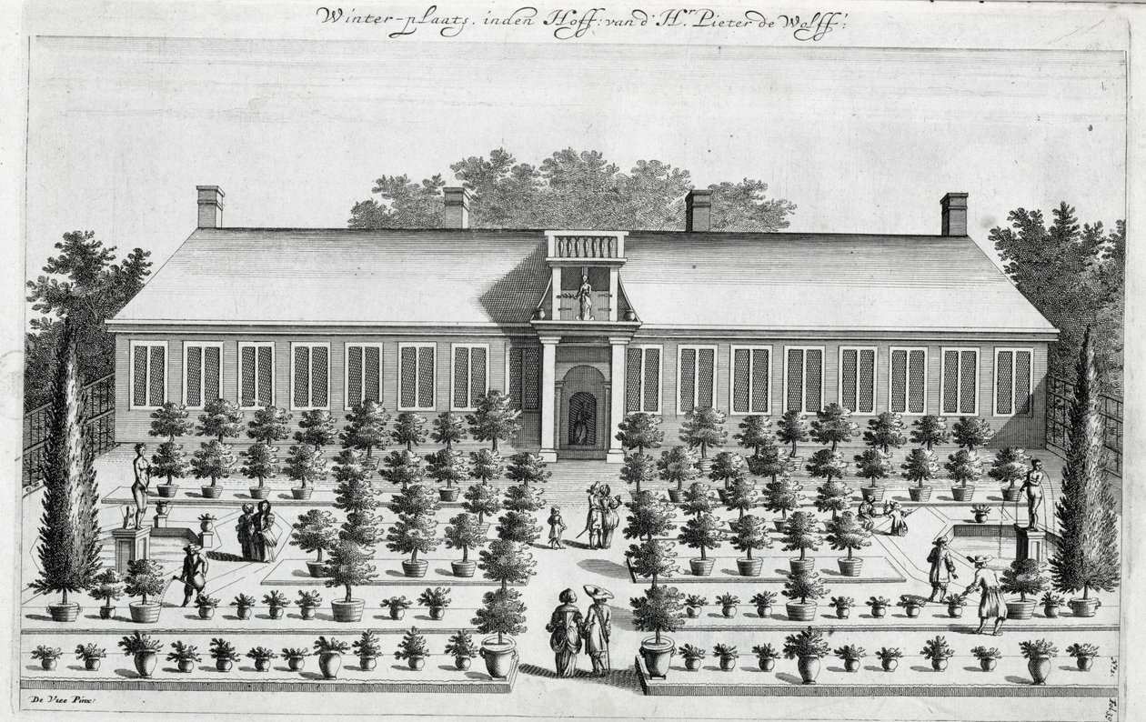 Nederlandsk hage, fra De Nederlandze Hesperides av Jan Commelin, utgitt 1676 av Dutch School