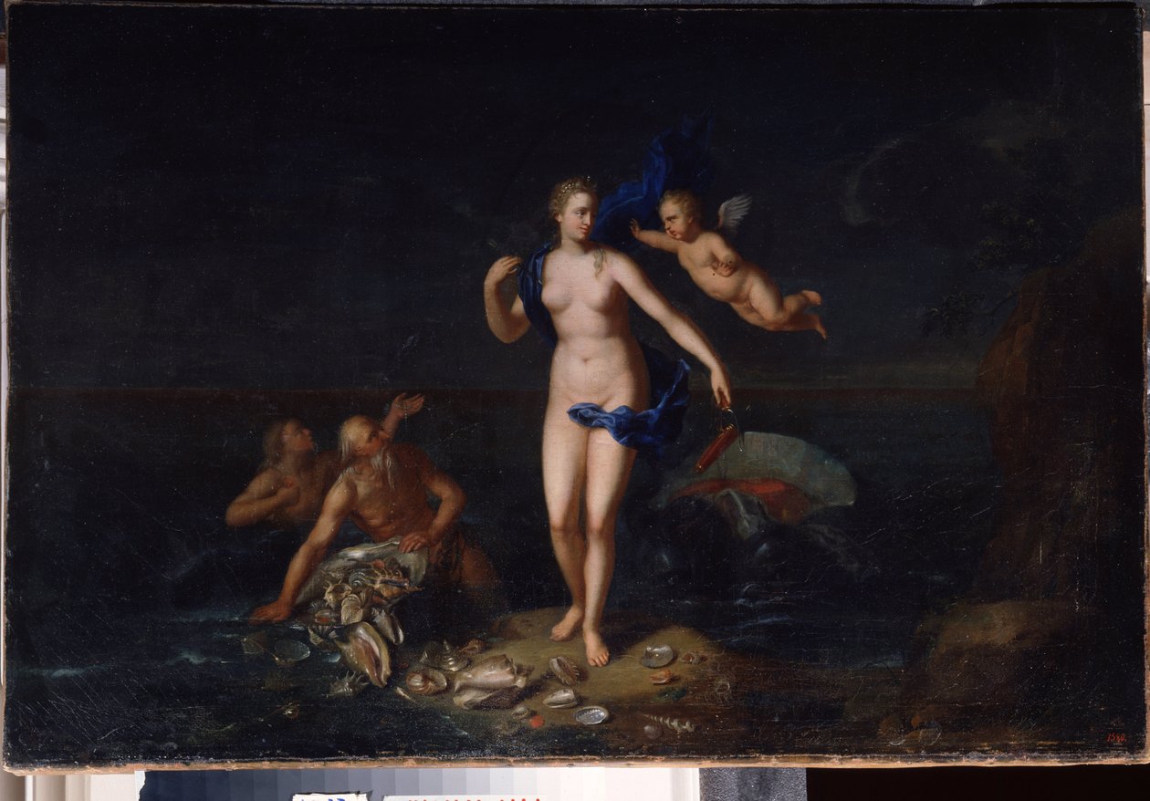 ""The Birth of Venus"" (Birth of Venus) Anonymt nederlandsk skolemaleri fra 1700-tallet 1729 Statens friluftsmuseum Palace Gatchina, St. Petersburg, Russland av Dutch School