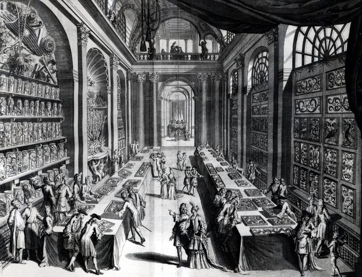 Levin Vincents samling av kuriositeter, illustrasjon fra Theatre de la Merveilles de la Nature, ca. 1719 av Dutch School