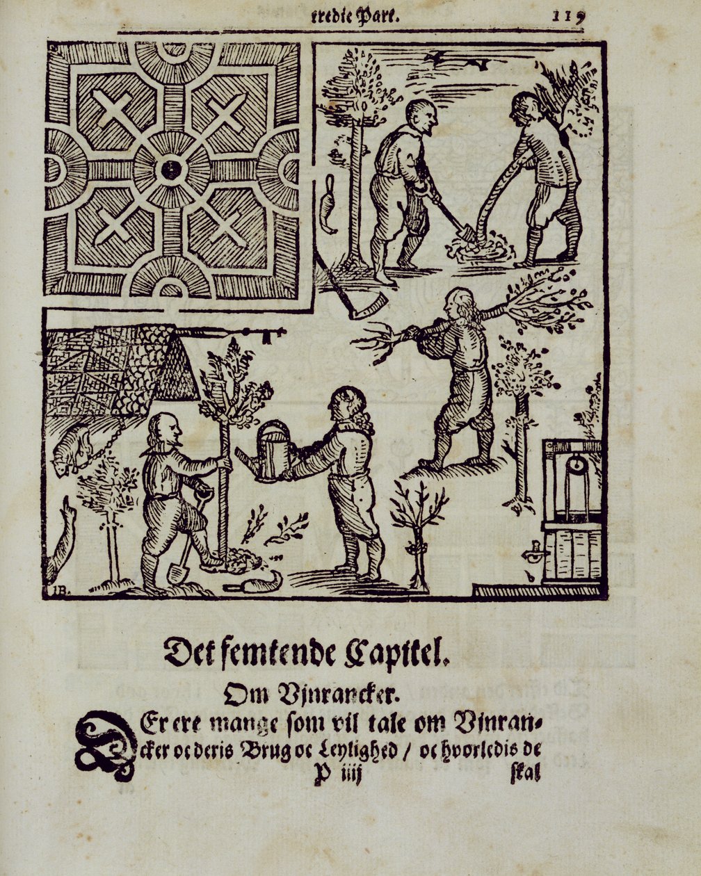 Planting trees, fra The Dutch Gardener av Johann van der Groen, utgitt 1699 av Dutch School