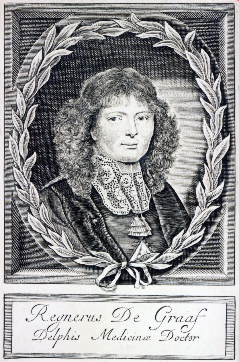 Regnier de Graaf, ca. 1670 av Dutch School