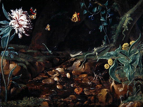 Strøm i en dell med blomster og krypdyr (olje på lerret) av Dutch School