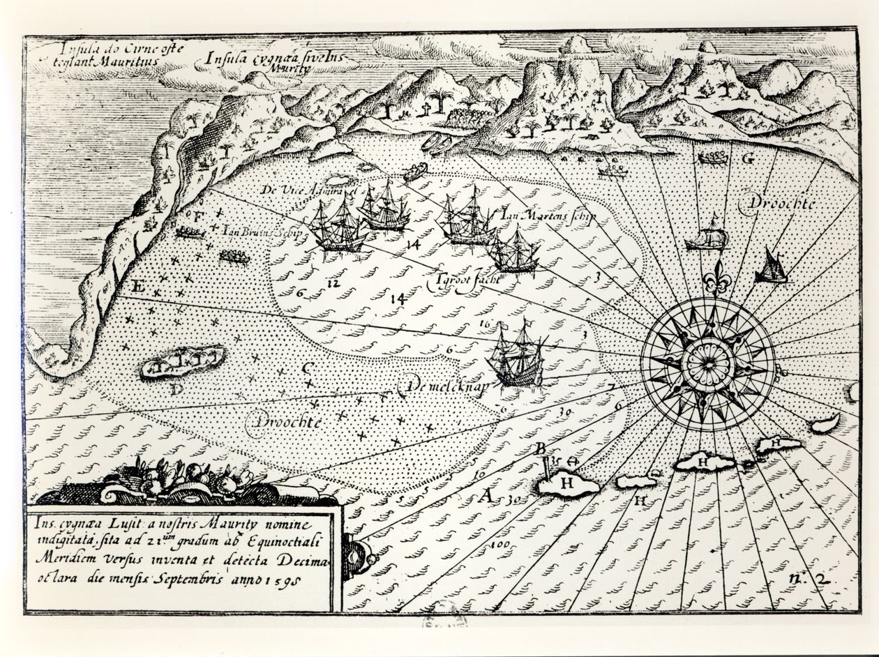 Ankomsten til viseadmiral Wybrandt Van Warwijcks Flotilla ved Sørøst-havnen i Mauritius i september 1598 av Dutch School