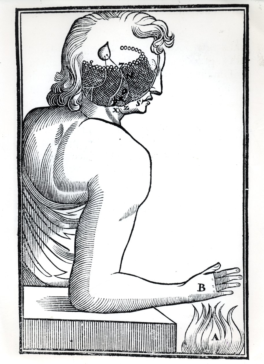 The Perception of the Senses, fra De Homine Figuris av Rene Descartes (1596-1650) utgitt i Amsterdam, 1677 av Dutch School