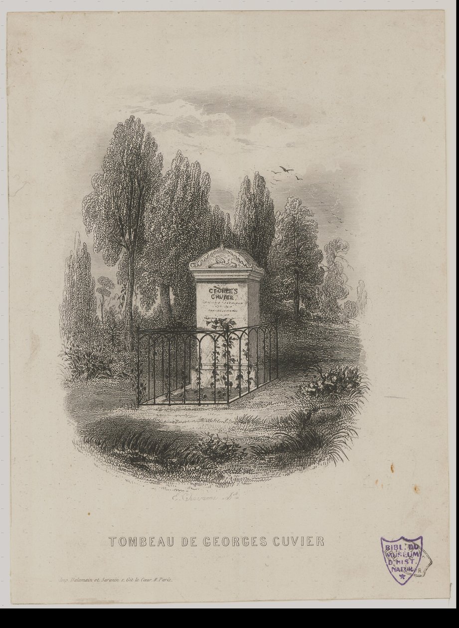 Georges Cuviers grav av E. Chavanne