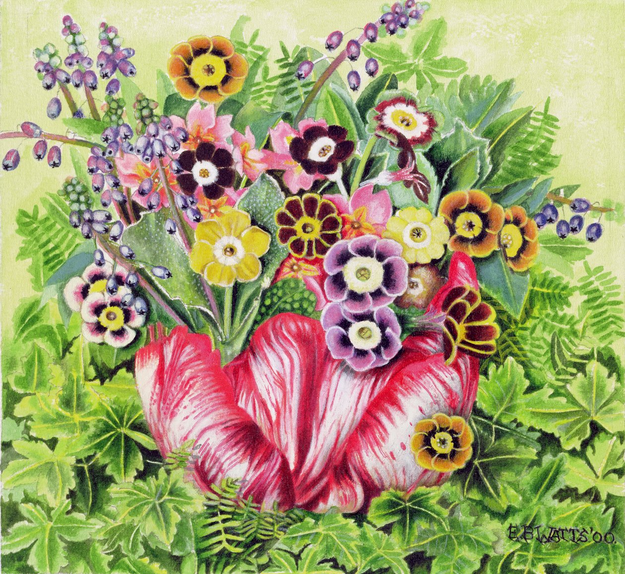 Auriculas, 2000 (akryl på lerret) av E.B. Watts