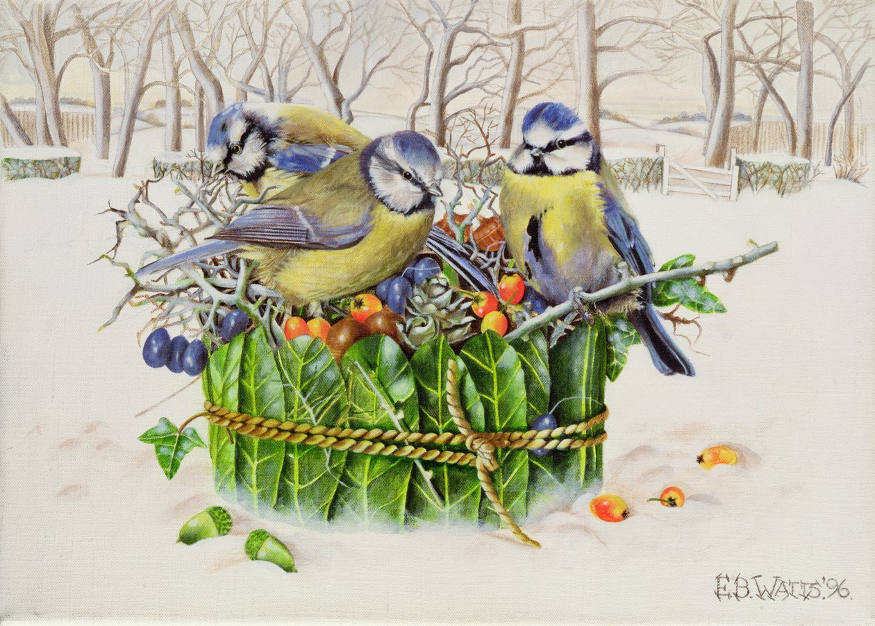 Blue Tits in Leaf Nest, 1996 (akryl på lerret) av E.B. Watts