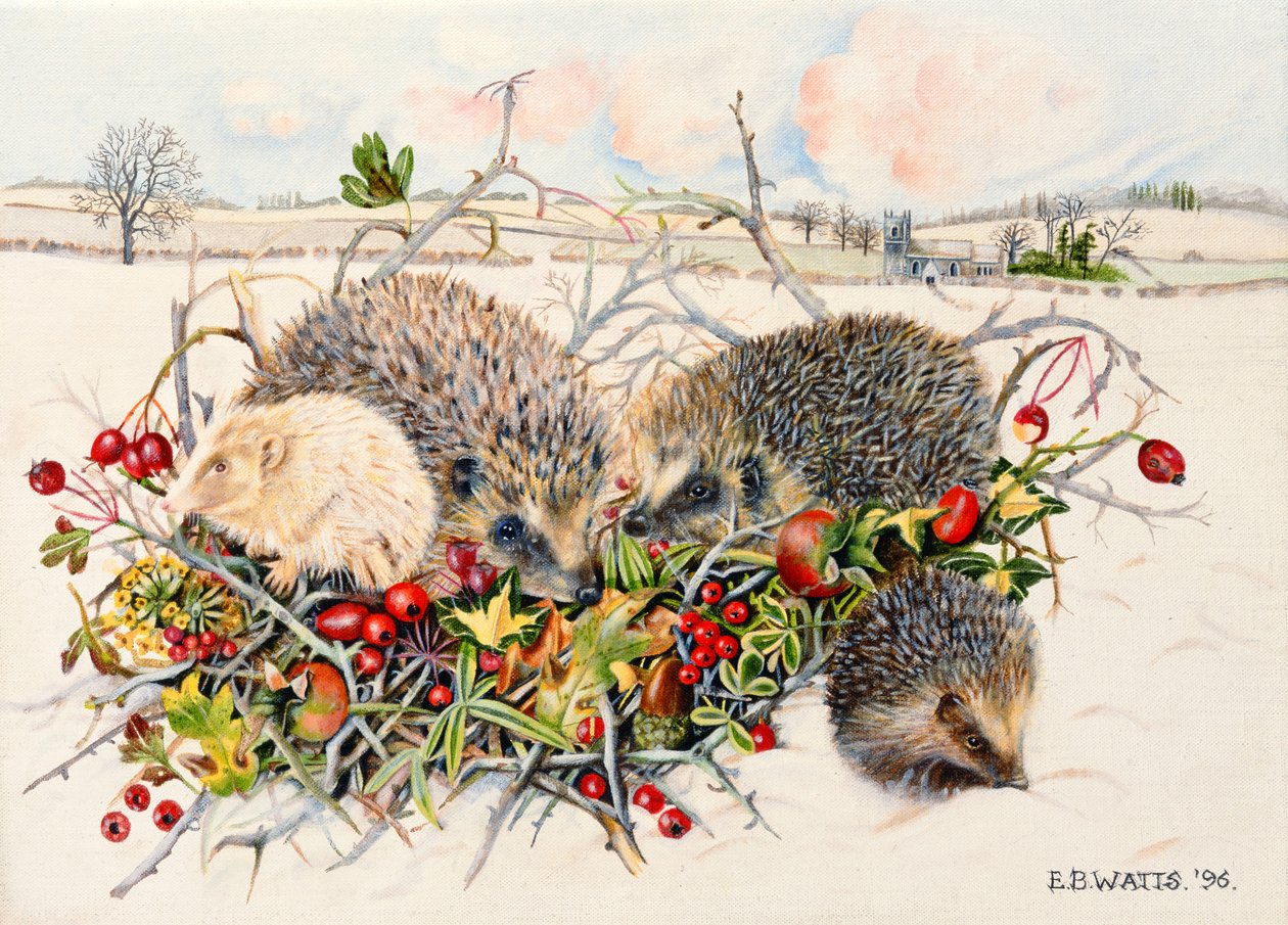 Pinnsvin i Hedgerow Basket, 1996 (akryl på lerret) av E.B. Watts
