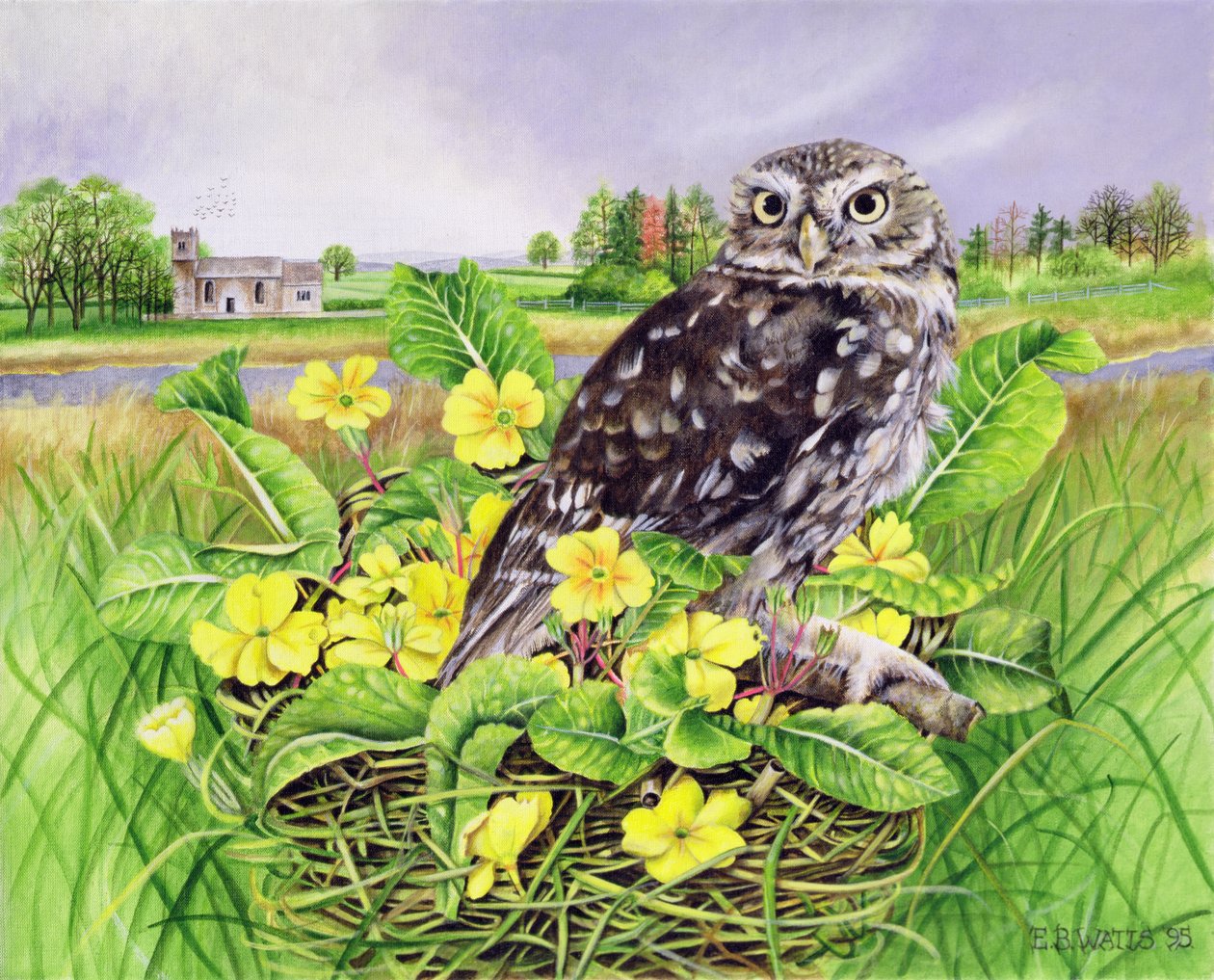 Ugle i Gressredet med Primulas av E.B. Watts