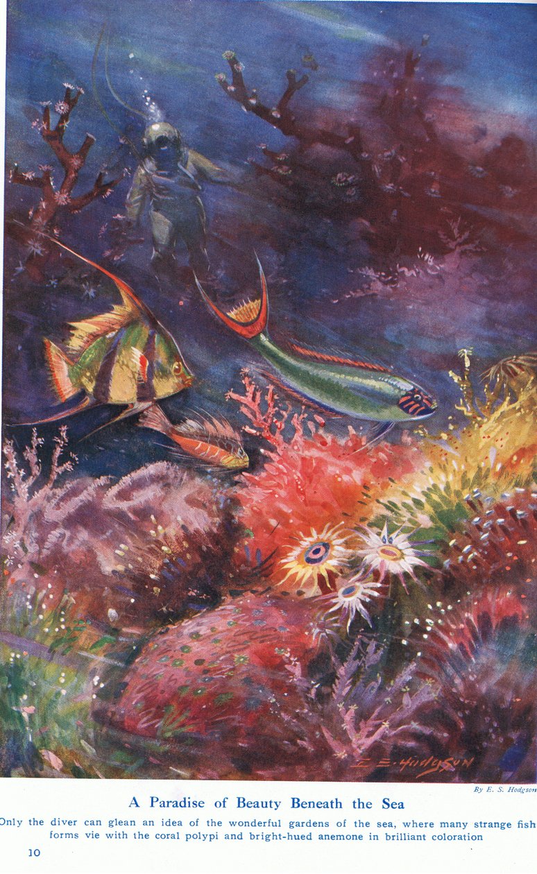 A Paradise of Beauty Beneath the Sea, illustrasjon fra 