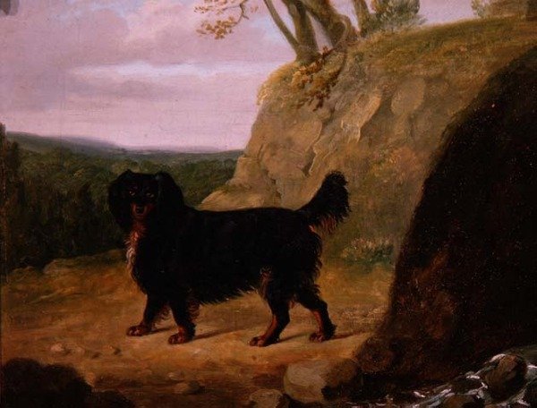 En Cocker Spaniel i landskapet av E.W. Gill