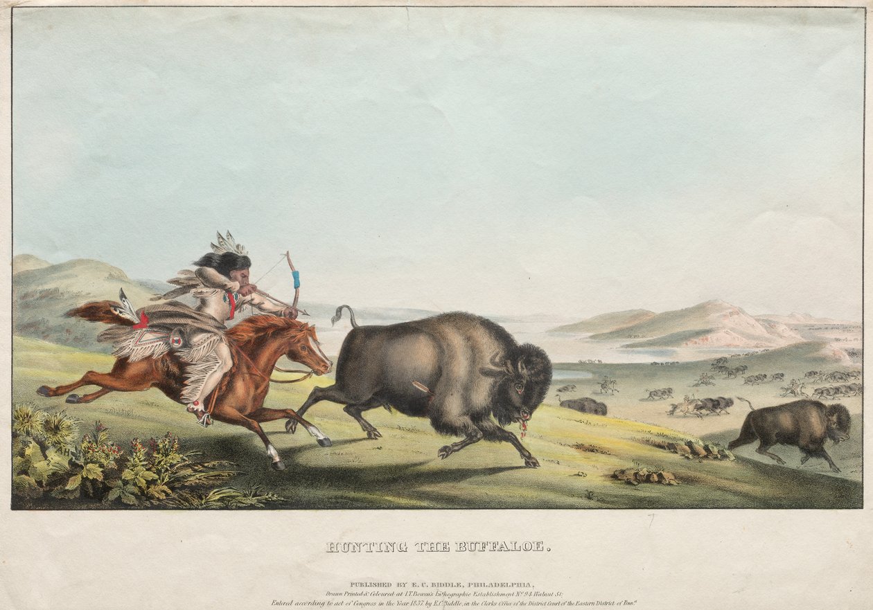 Hunting the Buffalo, 1837. av E. C. Biddle