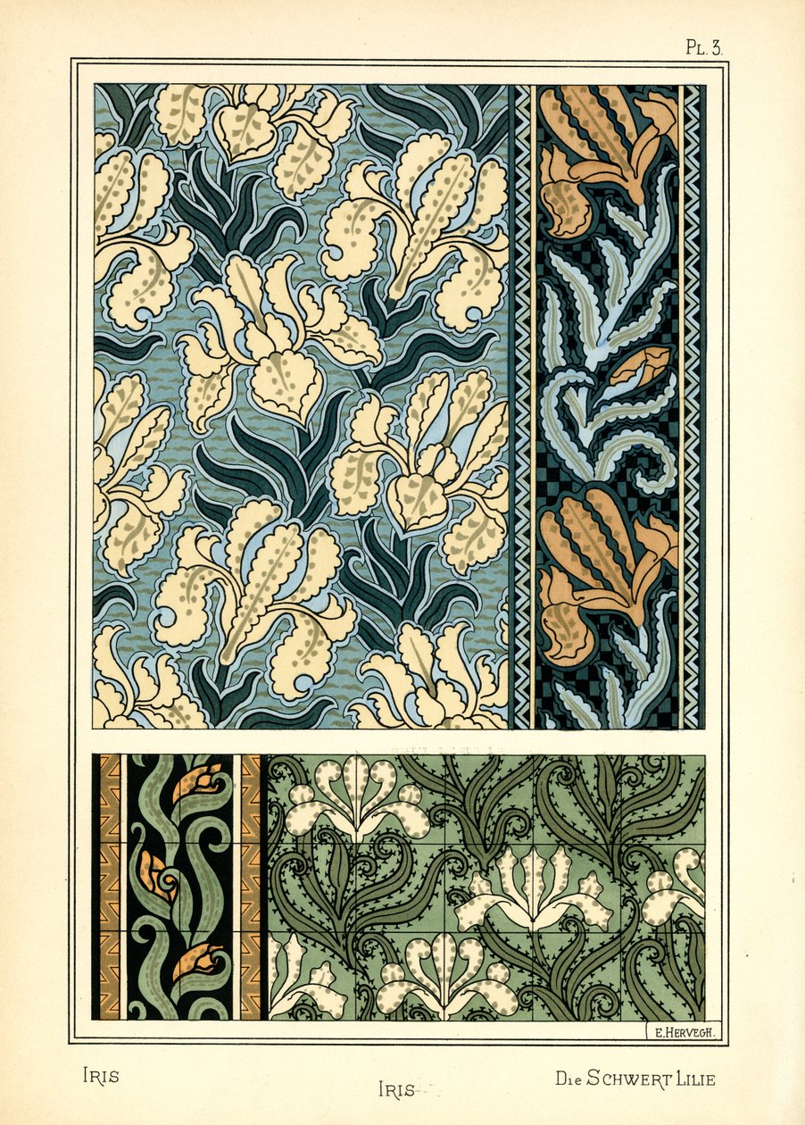 Irisen av E. Hervegh