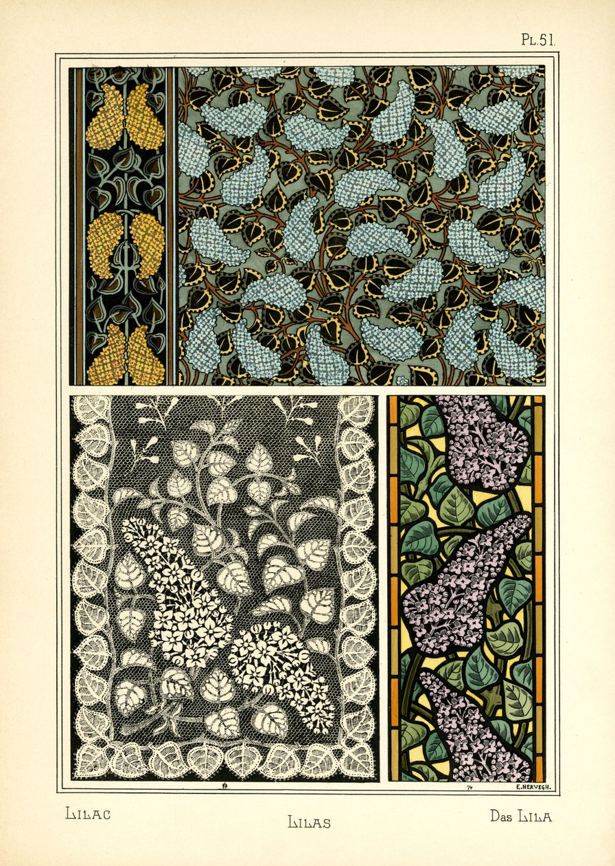 Lilaene av E. Hervegh