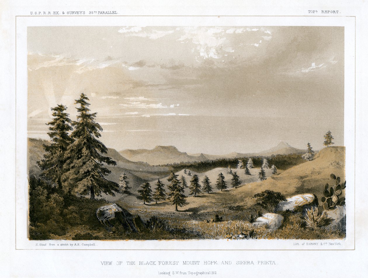 The Black Forest Mount Hope and Sierra Prieta, USA, 1856.   1134677   no       norwegian Successfully Translated  Original: Scherzi di Fantasia Translat: Scherzi di Fantasia 1293159 no norwegian Successfully Translated Original: The Martyrdom of Saint Paul av E Stout