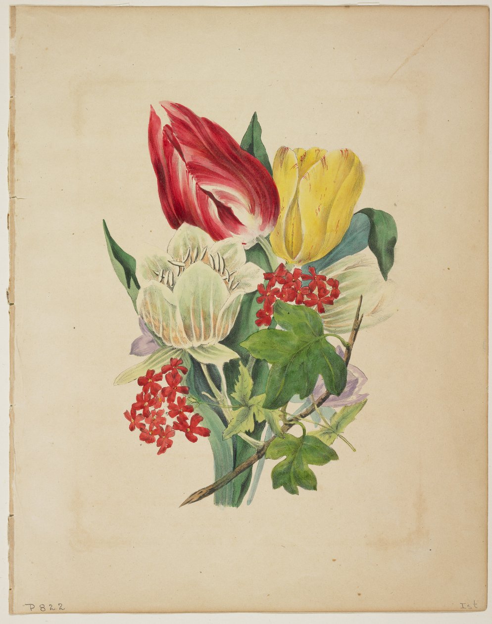 Bukett av tulipaner, fra Floras ordbok, 1838 av E. W. Wirt