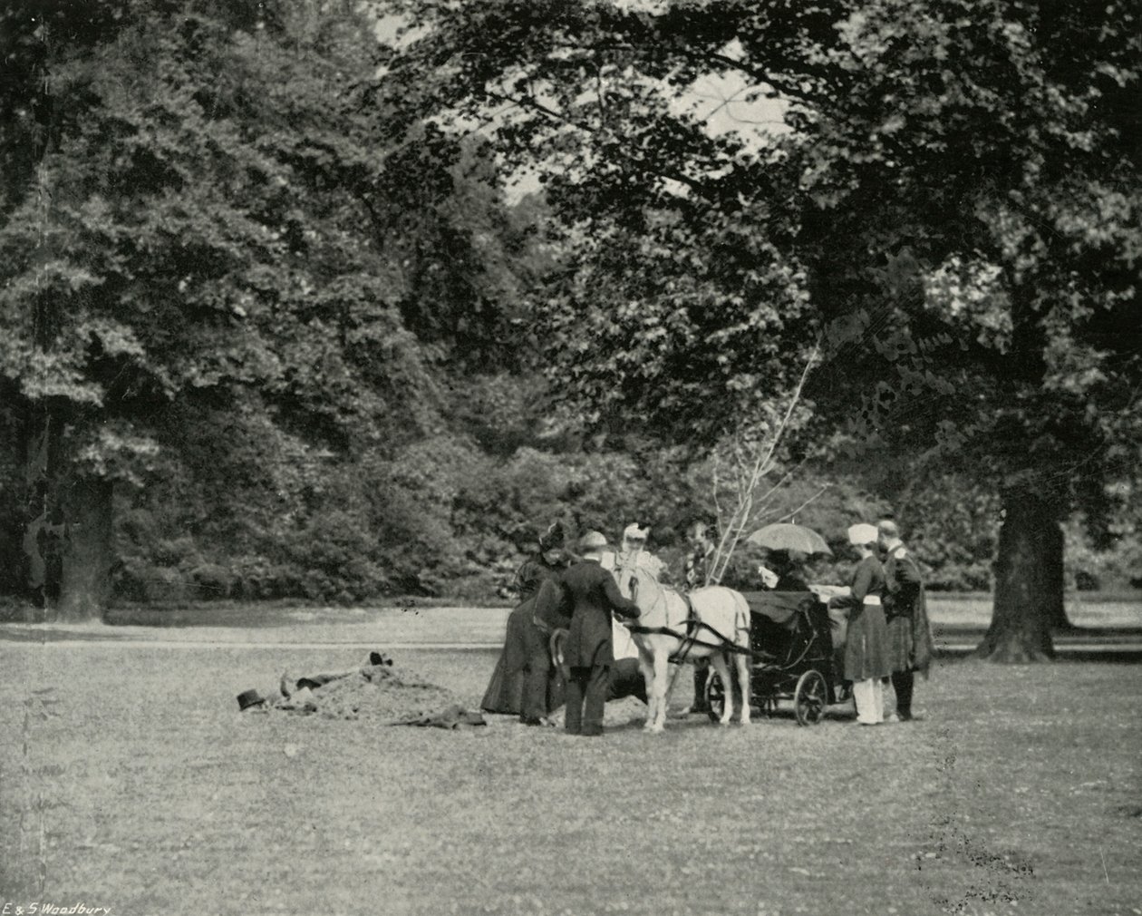 Hennes Majestet planter et tre på eiendommen til Buckingham Palace som et minne om jubileet, juni av E. and S. Woodbury