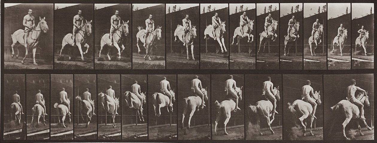Animal Locomotion, plate 646 av Eadweard Muybridge