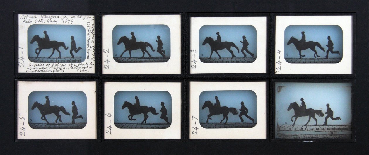 Leland Stanford Jr. på sin Pony Gypsy av Eadweard Muybridge