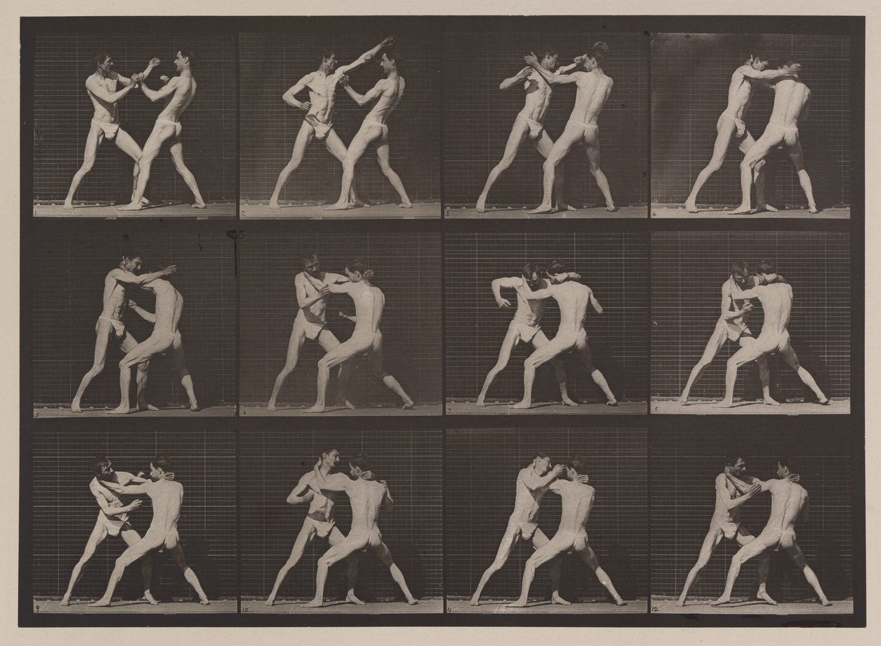 Plate nummer 340. Boksing; åpen hånd (sko), 1887 (kollotype) av Eadweard Muybridge