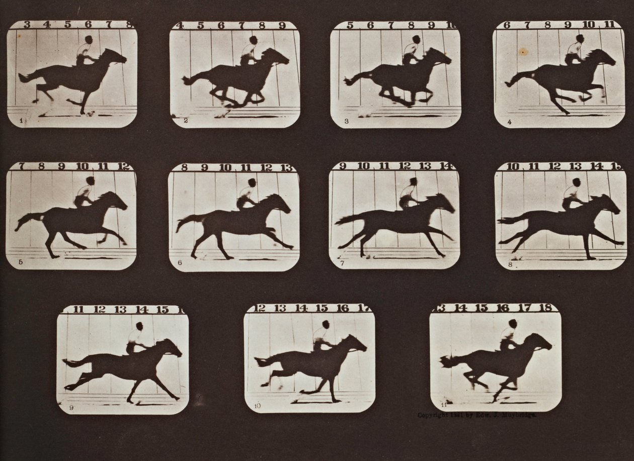 Sallie Gardner Running from The Attitudes of Animals in Motion av Eadweard Muybridge