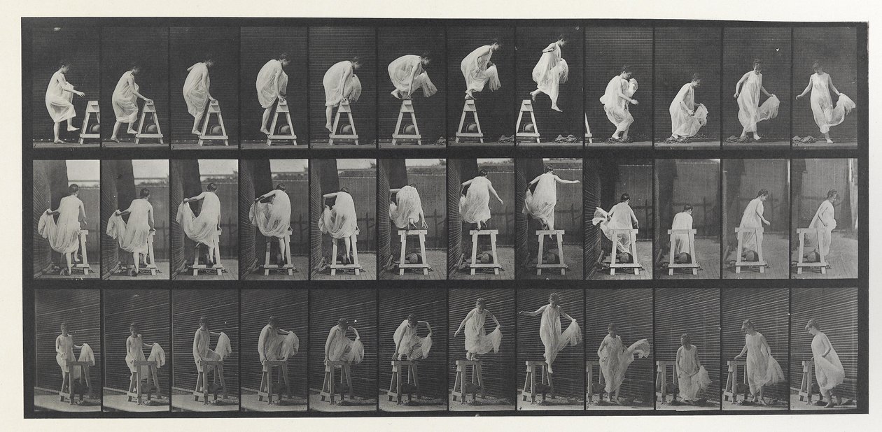 Animal Locomotion Plate av Eadweard Muybridge