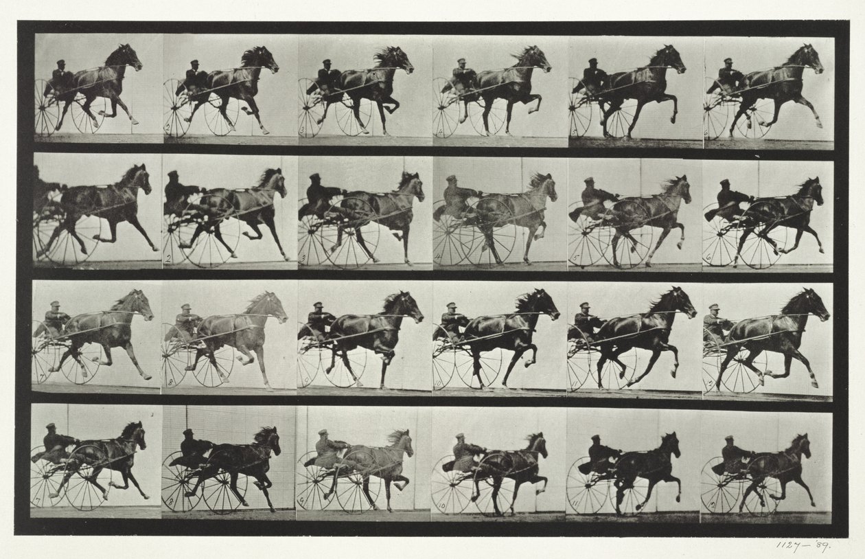 Carriage Driving, plate 613 fra 