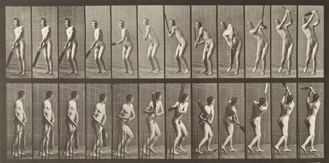 Cricketer, plate 291 fra 