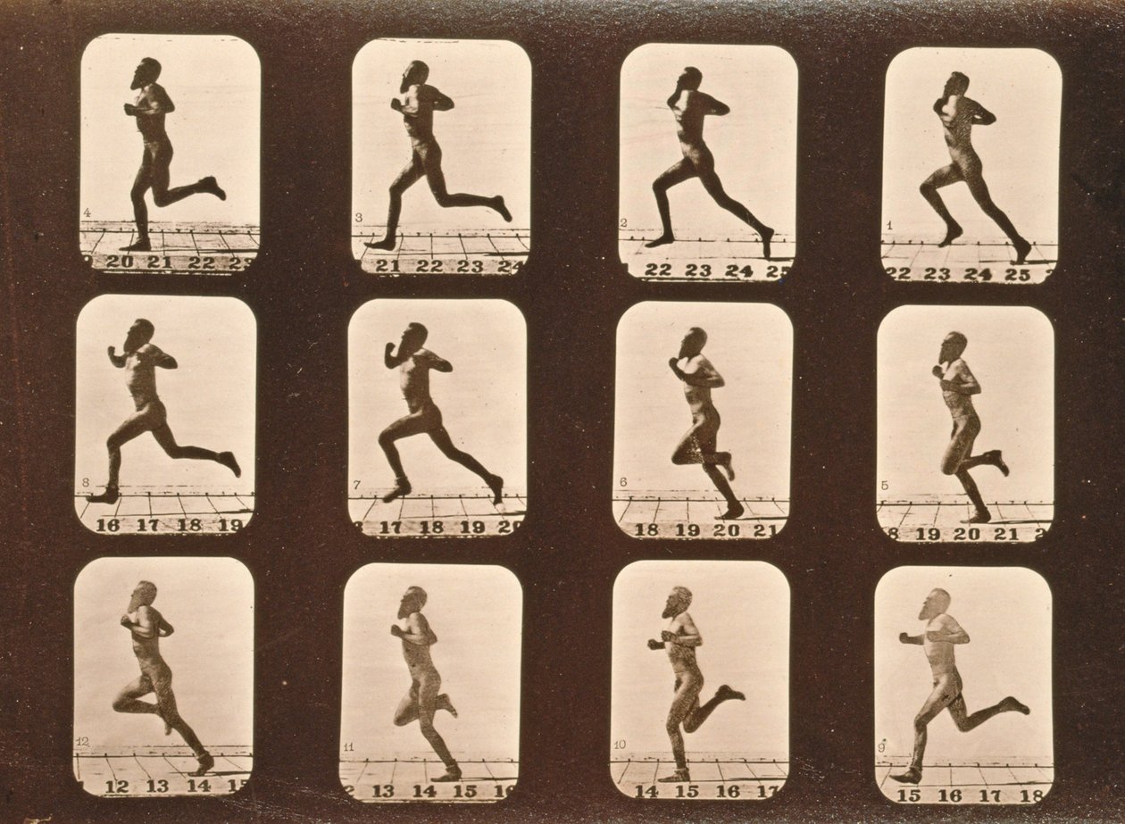 Bildesekvens av idrettsutøvere. Running, 'Animal Locomotion'-serien, ca. 1881 av Eadweard Muybridge