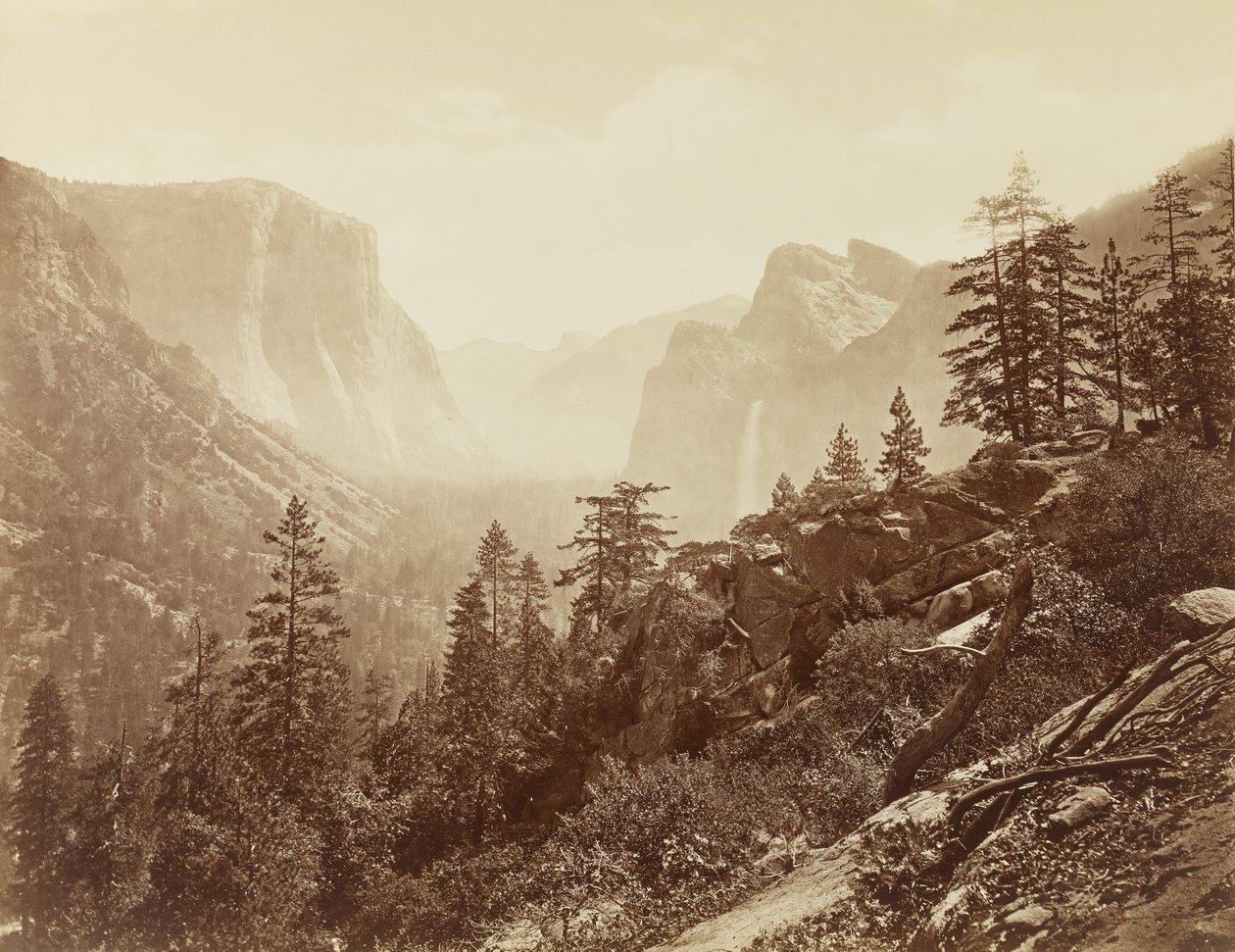 Valley of the Yosemite (tidlig morgen fra lett rock), 1872 (albumtrykk på mammutplater) av Eadweard Muybridge