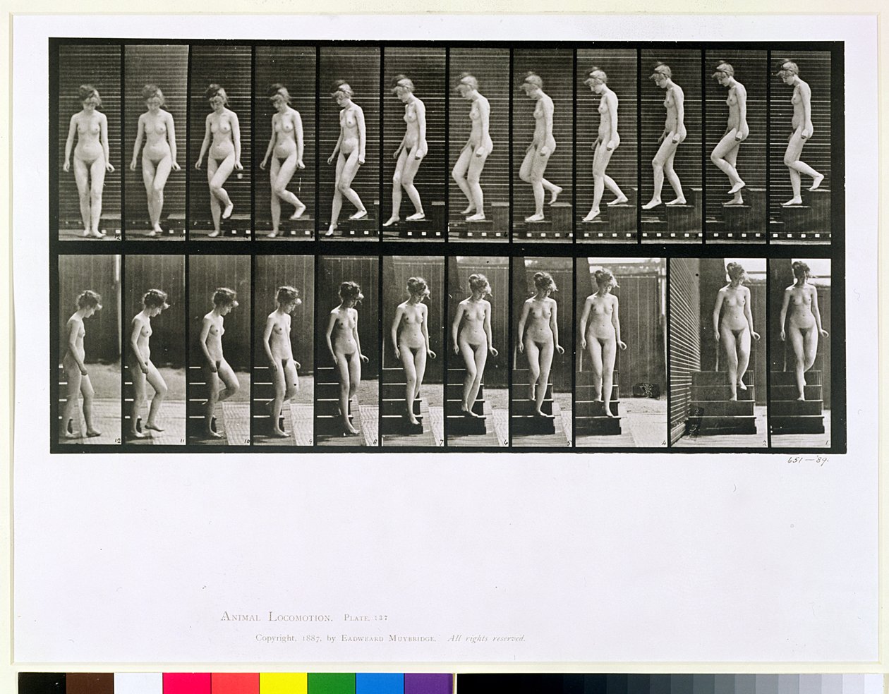 Kvinne som går ned, plate 137 fra 'Animal Locomotion', 1887 av Eadweard Muybridge