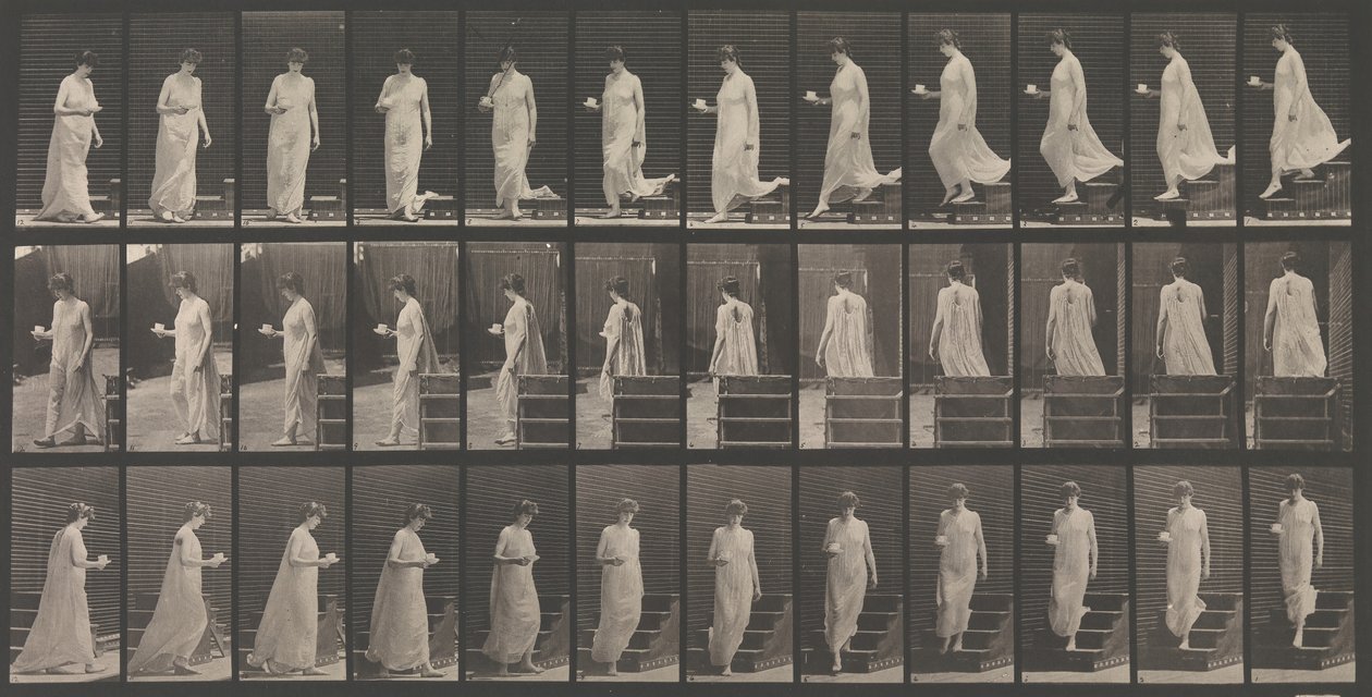 Dyrebevegelse. En elektrofotografisk undersøkelse... av dyrebevegelser. Begynn..., 1880-tallet. av Eadweard Muybridge