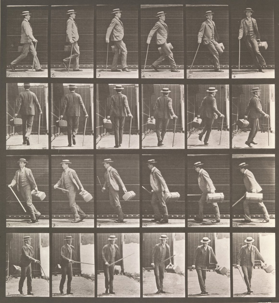 Dyrebevegelse. En elektrofotografisk undersøkelse... av dyrebevegelser. Begynn..., 1880-tallet. av Eadweard Muybridge