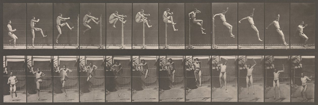 Dyrebevegelse. En elektrofotografisk undersøkelse av påfølgende faser av dyr ..., 1880-tallet. av Eadweard Muybridge