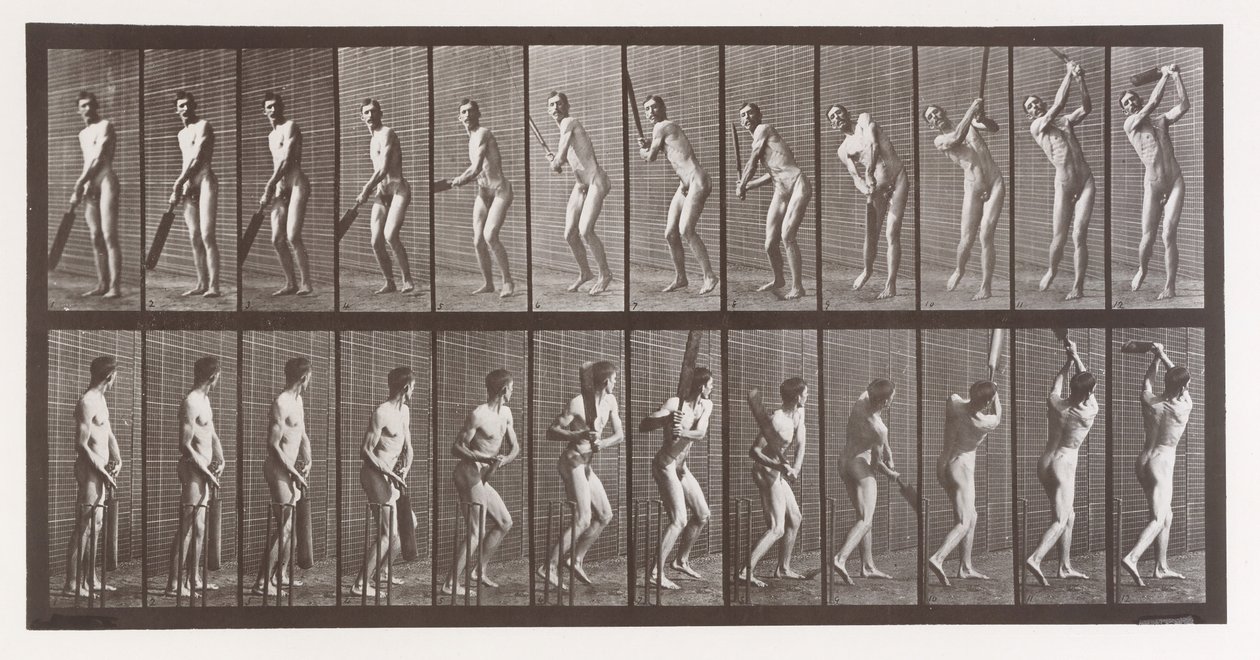 Dyrebevegelse. En elektrofotografisk undersøkelse av påfølgende faser av dyr ..., 1880-tallet. av Eadweard Muybridge