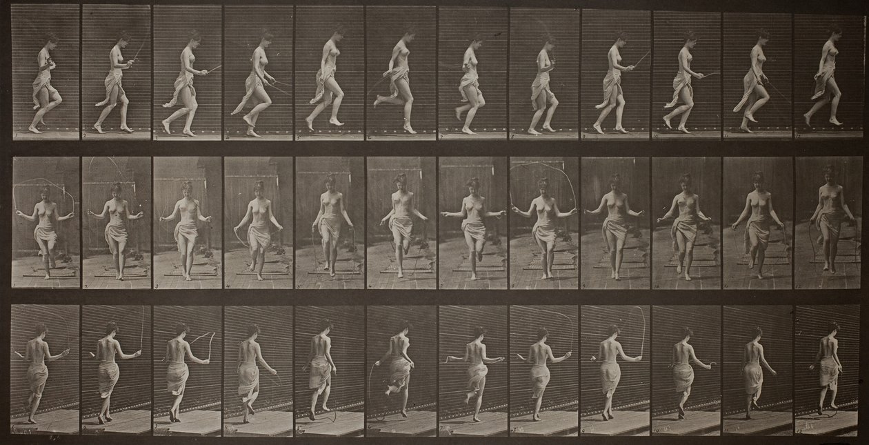 Dyrebevegelse, plate 174, 1887. av Eadweard Muybridge